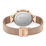 Montre Hugo Boss Flawless 1502553