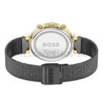 Montre Hugo Boss Flawless 1502627